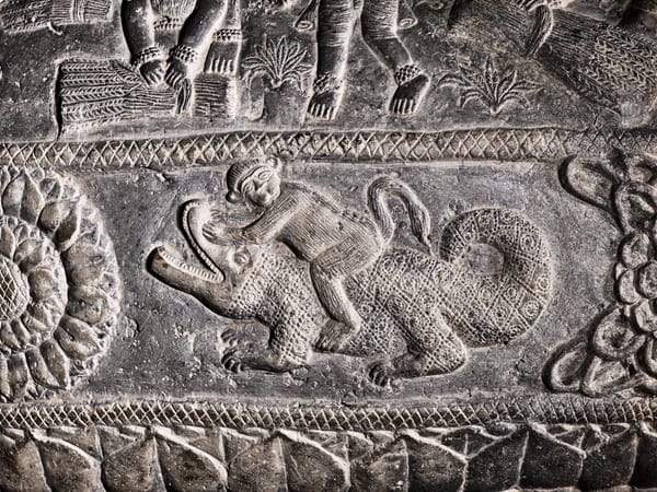 Pet Monkeys Were Popular in Ancient Rome, Burials Reveal