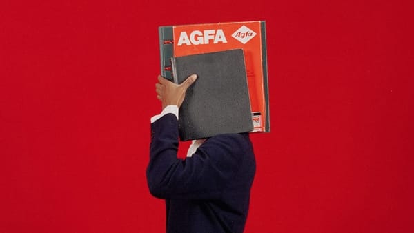 The African Diaspora Pictures Itself