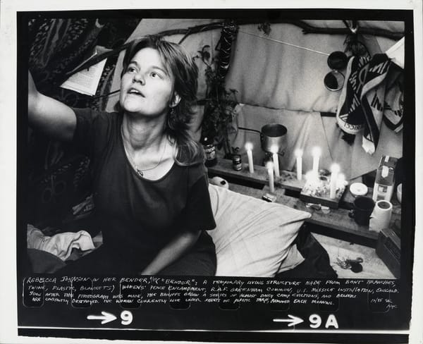 Raw Material: The Art and Life of Susan Kleckner