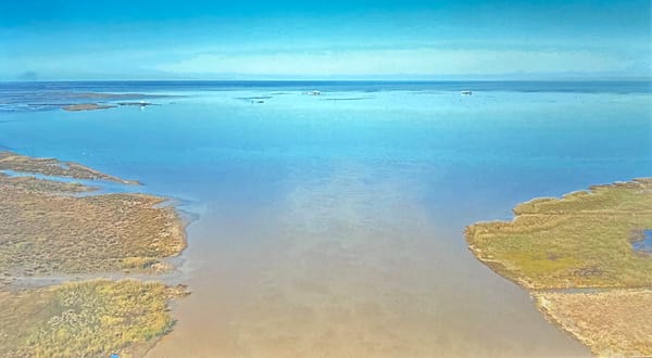 Deborah Jack’s Immersive Elegy for Water