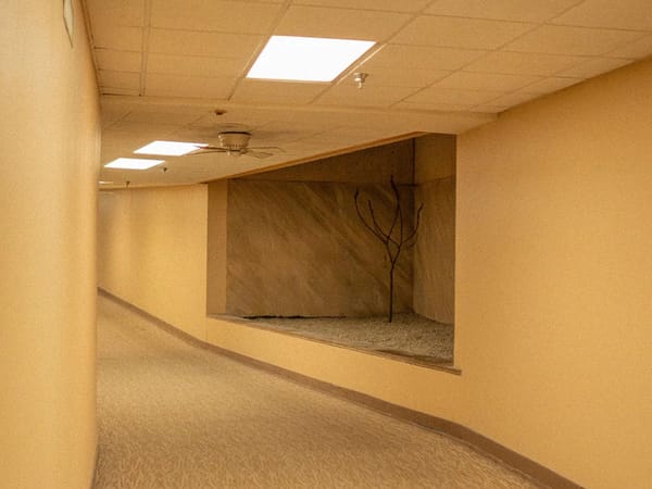 How Liminalism Became the Defining Aesthetic of Our Time