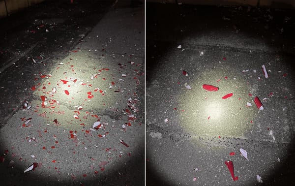 Suspect Arrested for $240,000 Damage to Chihuly Glass Artworks