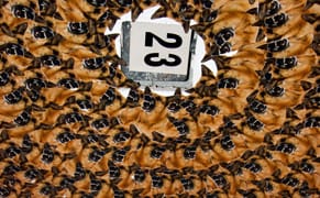 MoMA Reframes the Moderns, Anaylzing Jung's "Red Book," Famous Accountants Opens...