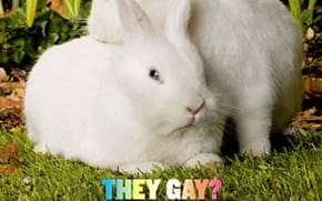 Jeff Koons, the Gay Animal Portraiteur?