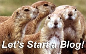 New Museum’s Richard Flood Equates Bloggers with Prairie Dogs