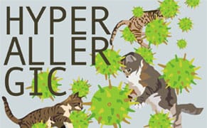 Happy 6 Month Anniversary!