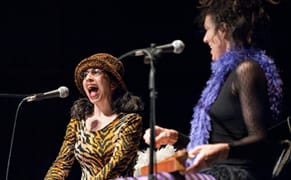 Wonder Cabinet: The Artist in Academia