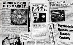 Letter from Los Angeles: Cults, Cacti, and Crystals