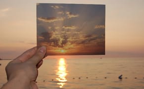 Free (With Admission) at the New Museum