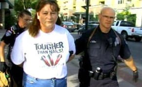 Art Attacker Pleads Not Guilty in Colorado