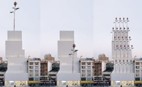 What the New Museum Should Do With Its New Rose