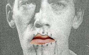 Towards Transparency and Justice, Learning from Wikileaks and Wojnarowicz