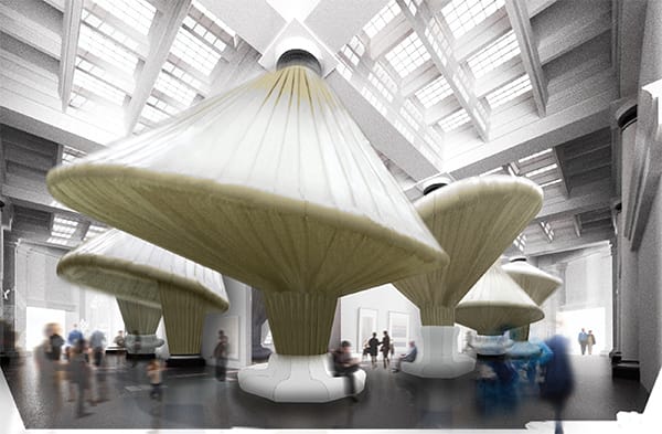 Alice in a Brooklyn Museum Wonderland