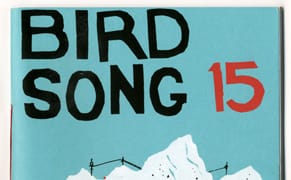 Too Many MFAs Spoil the Zine