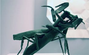 Robert J. Lang On Origami, Sarah Morris Lawsuit