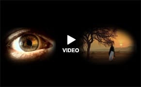 Shirin Neshat Sets Fire to Stuff