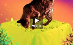 Videos by Dave Greber: Life, The Universe and Everything