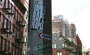 Dolphins Rape People?