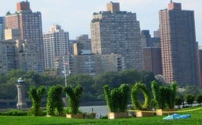 Staying Afloat at the Socrates Sculpture Park