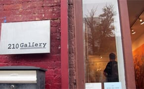 There's a Gallery in the South Slope? Sung Ho Choi at 210 Gallery
