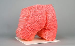 Why Are We Obsessed With The Way We Look?