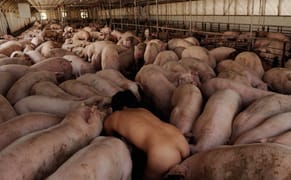 Art Rx: From New York to Miami