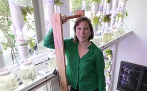 Artist Makes Enviro Art That Helps Urbanites Eat Better