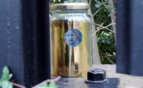 A Year-Long Obsession With Jars