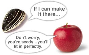 Ai Weiwei's Sunflower Seeds Opens Sat in NY