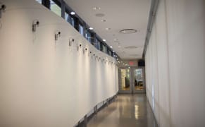 Art, Science and the Bastardization of Nature