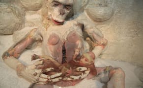 Lewd Monkey Goddesses, Luminous Death and Sequined Birth