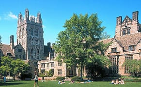 Professor at Yale Limits Enrollment In Art History Course Due to Internet Concerns