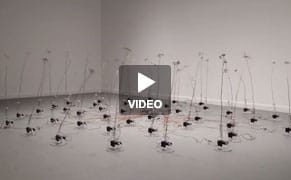 Artist Visualizes the Waves from Thousands of Miles Away