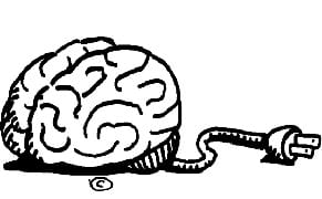 What Part of Your Brain Falls in Love With Art?