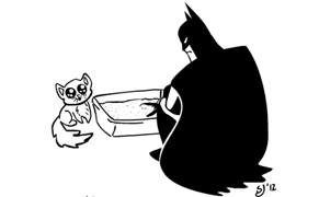 The Ordinary Adventures of an Extraordinary Batman