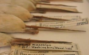 Art and Science Get Intimate