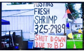 Eco-Art and the Battle of Invisible Evidence