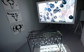 Documenta 13’s Art Laboratory