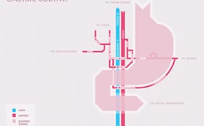 Subway Maps of the Body