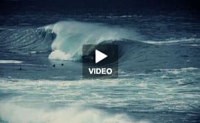 The Secret to Creativity Caught in the Ocean