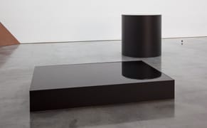 Nobuo Sekine and Charles Ray and Their Sculptures Filled with Liquid