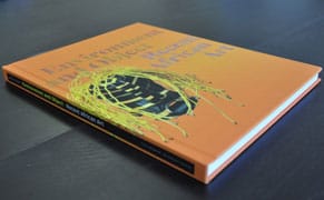 Environment and Object and Their Role in Recent African Art