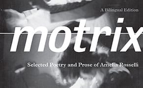 Swallow the Meat in the Jargon