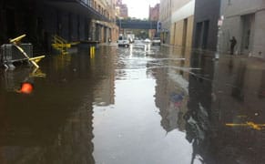 Art Dealers Association Offers Relief in the Wake of Sandy