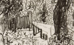 It's Hard to Lie in a Drawing