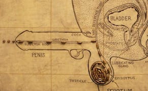 Big, Bigger, Biggest: Judith Bernstein Breaks Through