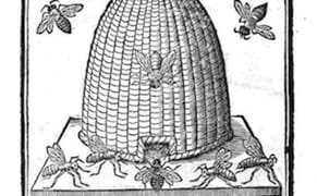 Weekend Words: Honey