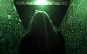 A Journey Round Artists' Skulls: Headscapes