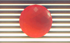 The Measure Of Success: Making Art in the “Like” Economy