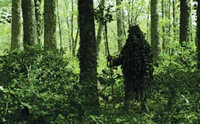 An Immersive Oasis at the Tribeca Film Festival